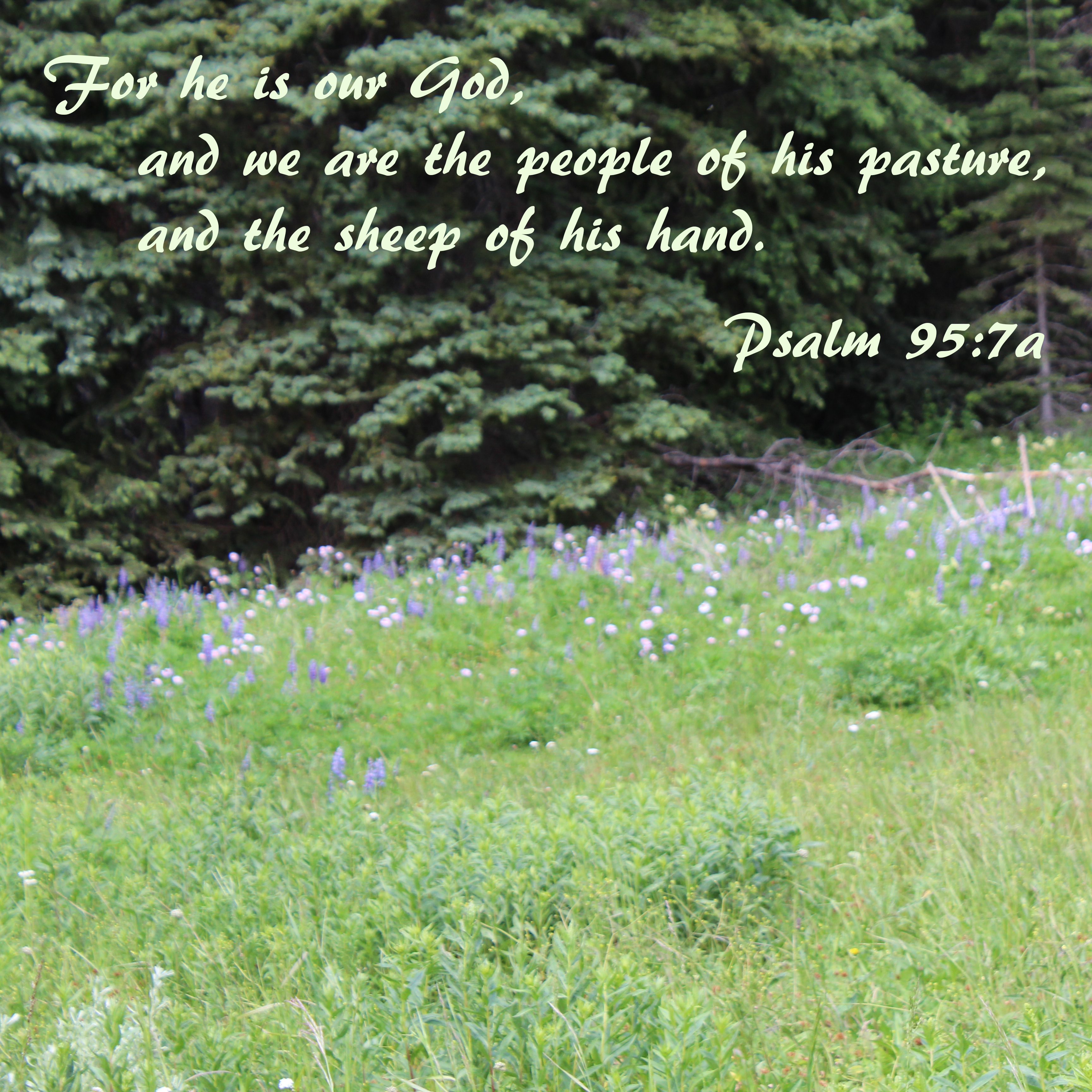 For he is our God,
    and we are the people of his pasture,
    and the sheep of his hand.
Psalm 95:7a